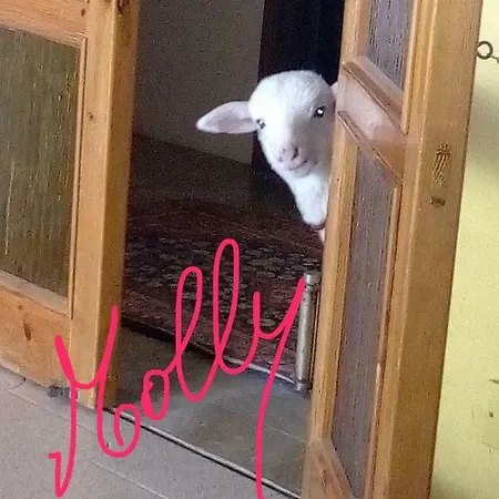 Lauria * Agrigente